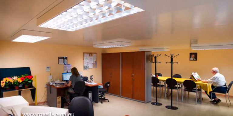 Locución Rosell Vega