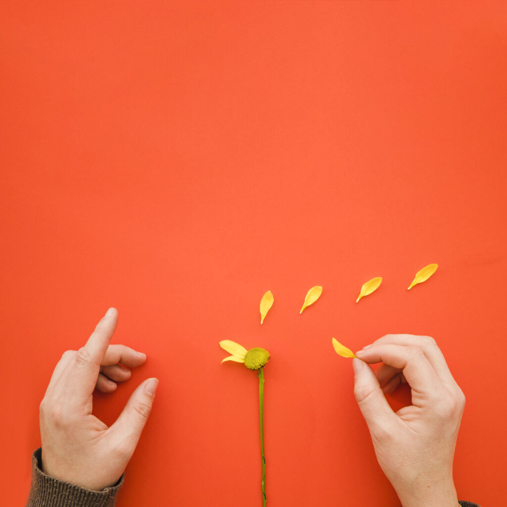recortar las manos recortar las manos arrancar los petalos de flores